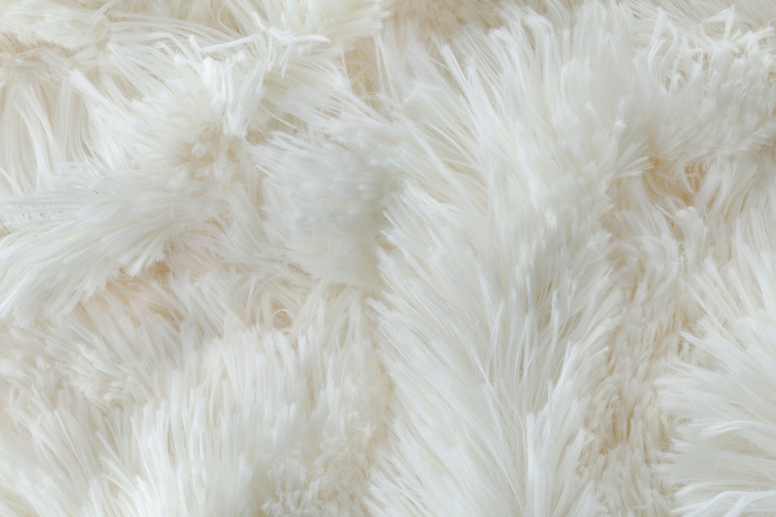 Texture fluffy fur